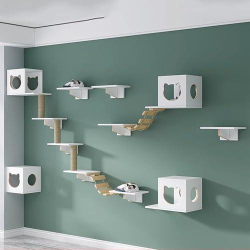 Pucaru Katzenwandregale Aus Kiefernholz,kletterwand Katzen Wandmontiertes Klettergerüst für Kätzchen, Herumstöbern und Spielen(12pcs) von Pucaru