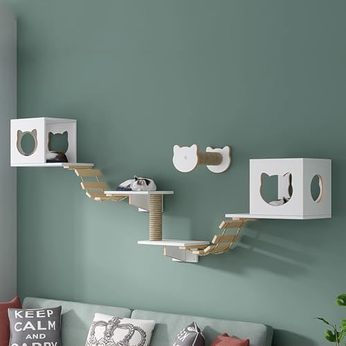 Pucaru Katzenwandregale Aus Kiefernholz,kletterwand Katzen Wandmontiertes Klettergerüst für Kätzchen, Herumstöbern und Spielen(5pcs) von Pucaru