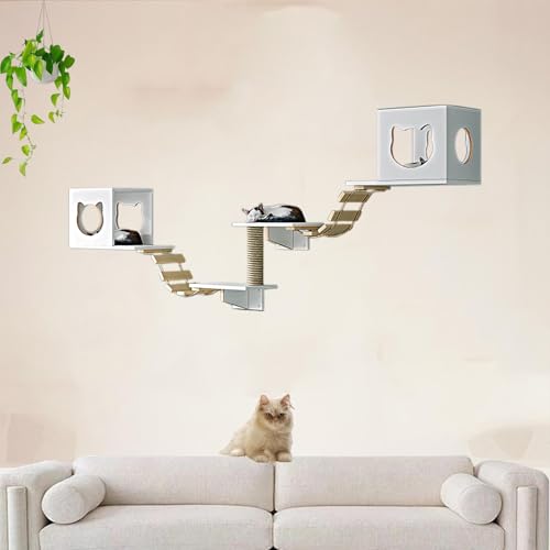 Pucaru Kiefernholz-Wandkratzbaum, Katzen，Katzenwandmöbel-Set, Spielplatz für Kätzchen im Wohnzimmer zum Klettern und Entspannen(6pcs) von Pucaru