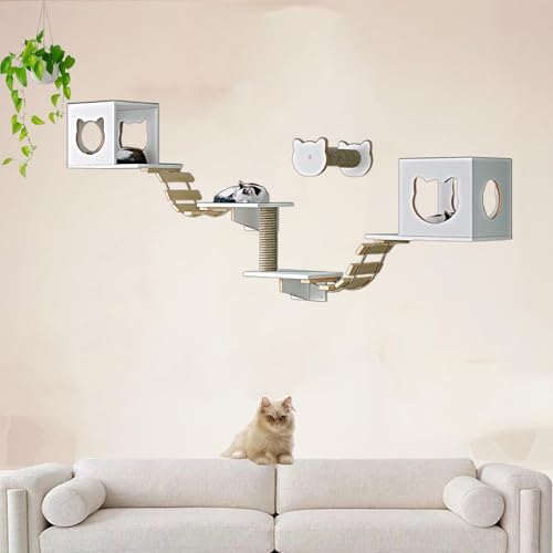 Pucaru Kiefernholz-Wandkratzbaum, Katzen，Katzenwandmöbel-Set, Spielplatz für Kätzchen im Wohnzimmer zum Klettern und Entspannen(8pcs) von Pucaru