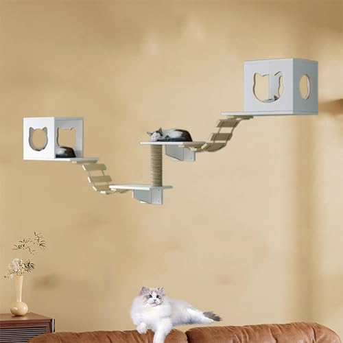 Pucaru Kletterwand Katzen, Massivholz-Katzenwandmöbel für Große Katzen, Geeignet Zum Schlafen, Klettern, Spielen Und Nickerchen(5pcs) von Pucaru