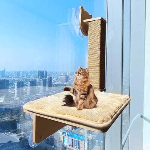 Pucaru Kletterwand Katzen Aus Holz, DIY-Kratzbaum, Schlagfreies Katzensprungbrett Aus Fliesenfenstern, Katzensitz für Den Innenbereich(39 * 57cm) von Pucaru