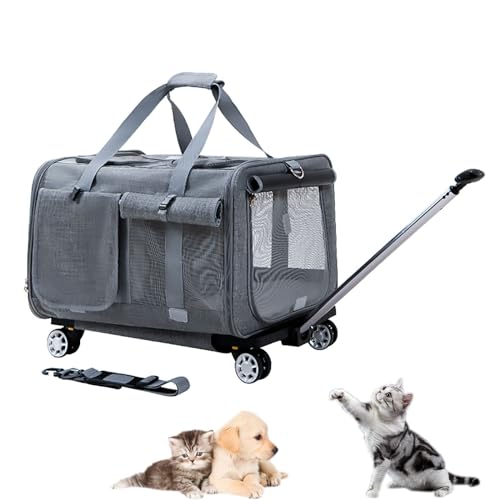 Pucaru Roller Katzen-/Hunde-Reisetragetasche, Haustier-Trolley, Transport-Reisebox, Abnehmbar, Zusammenklappbar (Color : Dark Gray) von Pucaru