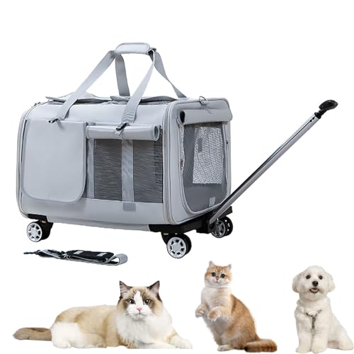 Pucaru Roller Katzen-/Hunde-Reisetragetasche, Haustier-Trolley, Transport-Reisebox, Abnehmbar, Zusammenklappbar (Color : Light Gray) von Pucaru