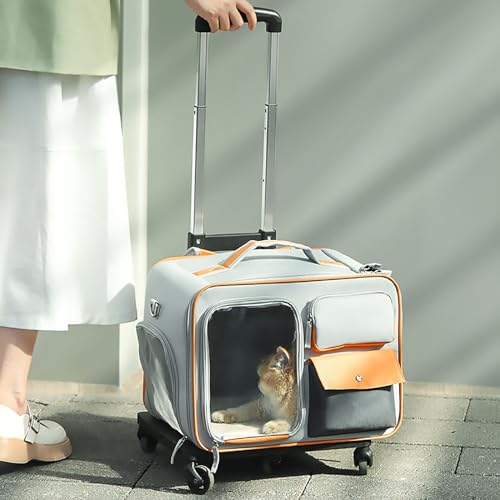 Pucaru Tragbare Trolley-Tasche für Haustiere, Katzen-Hunde-Tragetasche mit Rädern, Rollende Haustier-Tragetasche mit Teleskopgriff, Belüftet und Atmungsaktiv (Color : Cool Gray) von Pucaru
