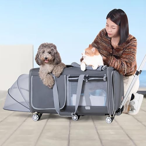 Pucaru Transportbox für Haustiere mit Zwei Fächern und Rädern, Erweiterbare Transportbox für Katzen/Hunde, Separates Design, Abnehmbar und Faltbar von Pucaru