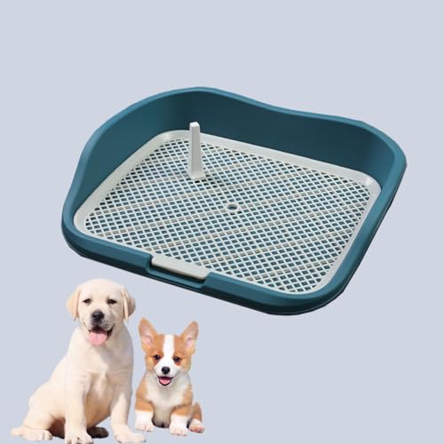 Spritzwassergeschützte Hundetoilette, Indoor-Töpfchen-Welpentoilette, Hundeklo für Zuhause, Hundetöpfchen, für Kleine Hunde (Color : Green) von Pucaru