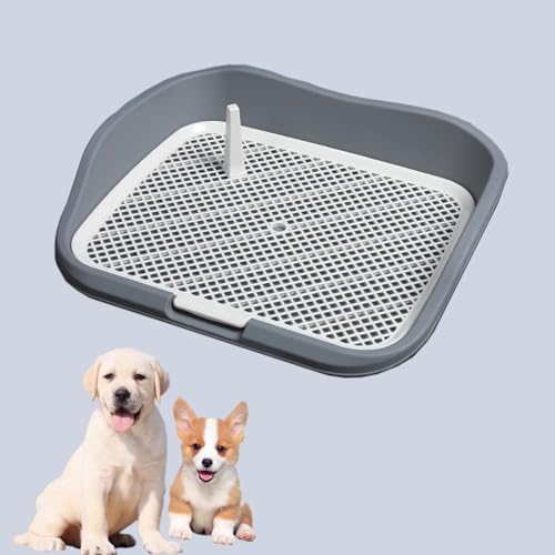 Spritzwassergeschützte Hundetoilette, Indoor-Töpfchen-Welpentoilette, Hundeklo für Zuhause, Hundetöpfchen, für Kleine Hunde (Color : Grey) von Pucaru
