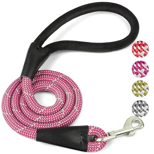 Pudiwind Hundeleine für große Hunde, reflektierend, strapazierfähig, kauresistent, Nylon, mit gepolstertem Griff und 360° drehbarem Clip, stark, für mittelgroße bis große Rassen, Violett, 122 cm Pudiwind Hundeleine für große Hunde, reflektierend, strapazierfähig, kauresistent, Nylon, mit gepolstertem Griff und 360° drehbarem Clip, stark, für mittelgroße bis große Rassen, Violett, 122 cm von Pudiwind