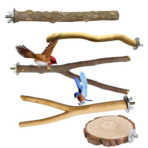 5 Stück Natur Vögel Sitzstangen, Sitzstangen für Vogel, Sittichsitzstange, Holz Vogelstange, Vogelspielzeug, Sittichstange, mehrteilige Stangenplattform, Vogelkäfigständer 5 Stück Natur Vögel Sitzstangen, Sitzstangen für Vogel, Sittichsitzstange, Holz Vogelstange, Vogelspielzeug, Sittichstange, mehrteilige Stangenplattform, Vogelkäfigständer von Puedno