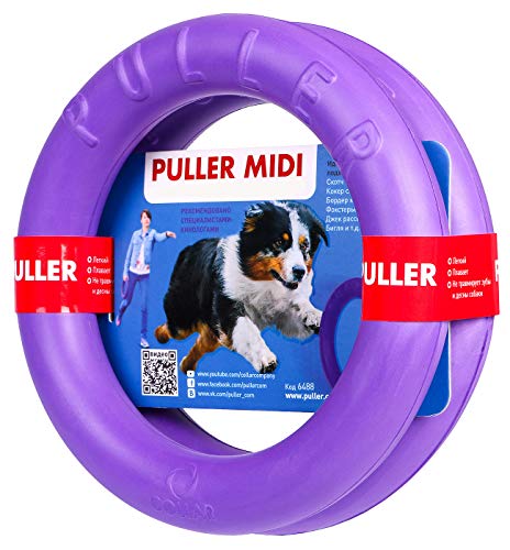 Puller 6488 Spielringe Schwimmringe 2-er Set midi 20 cm / 3 cm von Puller