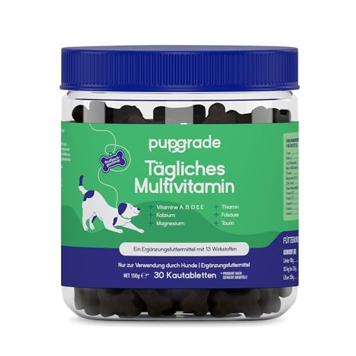 PupGrade Daily Multivitamin für Hunde – All-in-One-Ergänzungsmittel – Unterstützt die Gesundheit von Verdauung, Immunsystem, Haut und Fell – 30 weiche Kaubonbons PupGrade Daily Multivitamin für Hunde – All-in-One-Ergänzungsmittel – Unterstützt die Gesundheit von Verdauung, Immunsystem, Haut und Fell – 30 weiche Kaubonbons von PupGrade