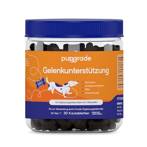 PupGrade Joint Support: Nahrungsergänzungsmittel für Hunde – Lindert Hüft- und Gelenkschmerzen – Für Hunde Aller Größen, Rassen und Altersgruppen – 30 Kausnacks PupGrade Joint Support: Nahrungsergänzungsmittel für Hunde – Lindert Hüft- und Gelenkschmerzen – Für Hunde Aller Größen, Rassen und Altersgruppen – 30 Kausnacks von PupGrade