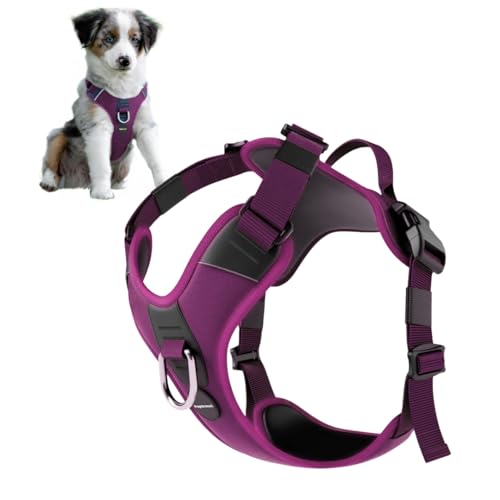 PupSensei Hundegeschirr ohne Ziehen, strapazierfähiges Polyester-Welpengeschirr mit Anti-Zugschlaufe, reflektierenden Streifen und Schnellverschluss-Clips für kleine, mittelgroße und große Hunde PupSensei Hundegeschirr ohne Ziehen, strapazierfähiges Polyester-Welpengeschirr mit Anti-Zugschlaufe, reflektierenden Streifen und Schnellverschluss-Clips für kleine, mittelgroße und große Hunde von PupSensei