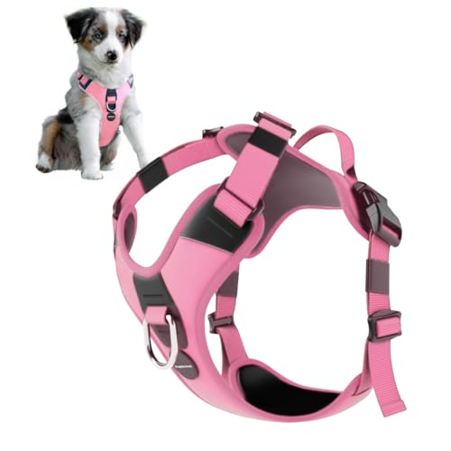 PupSensei Hundegeschirr ohne Ziehen, strapazierfähiges Polyester-Welpengeschirr mit Anti-Zugschlaufe vorne, reflektierenden Streifen und Schnellverschluss-Clips für kleine, mittelgroße und große Hunde PupSensei Hundegeschirr ohne Ziehen, strapazierfähiges Polyester-Welpengeschirr mit Anti-Zugschlaufe vorne, reflektierenden Streifen und Schnellverschluss-Clips für kleine, mittelgroße und große Hunde von PupSensei
