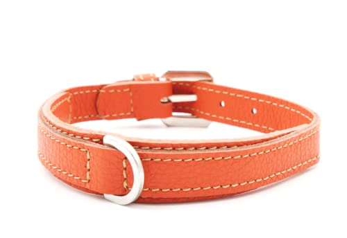 PUPAKIOTTI Basic Collar | Hundehalsband aus echtem Leder Handgemacht in Italien | Hundehalsband in verschiedenen Größen und Farben erhältlich (L, Orange) von Pupakiotti