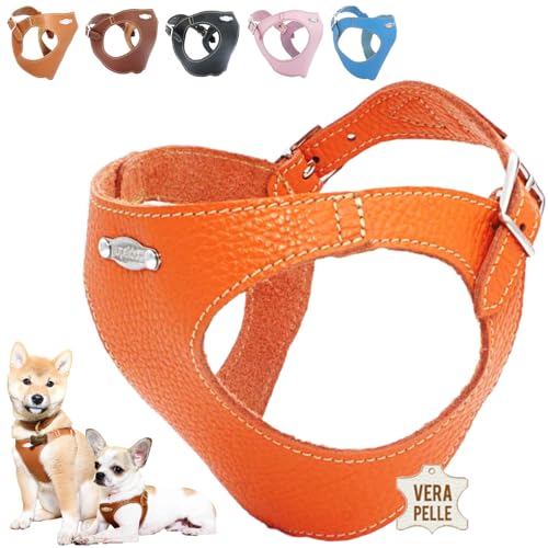 PUPAKIOTTI Brustgeschirr für kleine und mittelgroße Hunde, Leder-Hundegeschirr, ergonomisch und verstellbar, verfügbar Handgemacht in Italie (M-L, Orange) von Pupakiotti