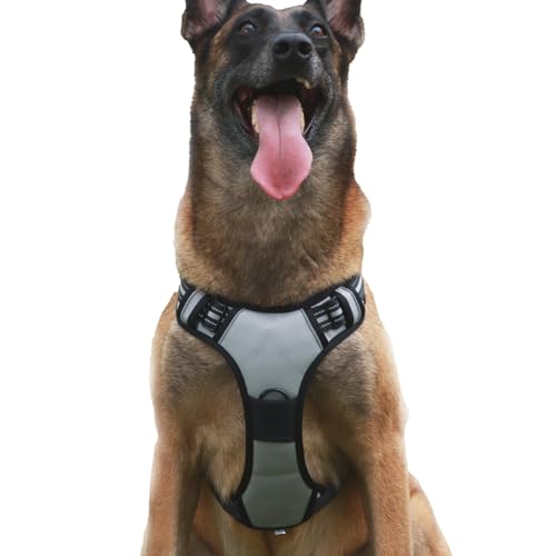 Hundegeschirr gegen Ziehen, Haustiergeschirr mit 2 Leinenclips, verstellbar, weich gepolstert, reflektierend, kein Würgen, Haustier-Oxford-Weste mit einfachem Griff für Spaziergänge, Wandern Hundegeschirr gegen Ziehen, Haustiergeschirr mit 2 Leinenclips, verstellbar, weich gepolstert, reflektierend, kein Würgen, Haustier-Oxford-Weste mit einfachem Griff für Spaziergänge, Wandern von Puphooo