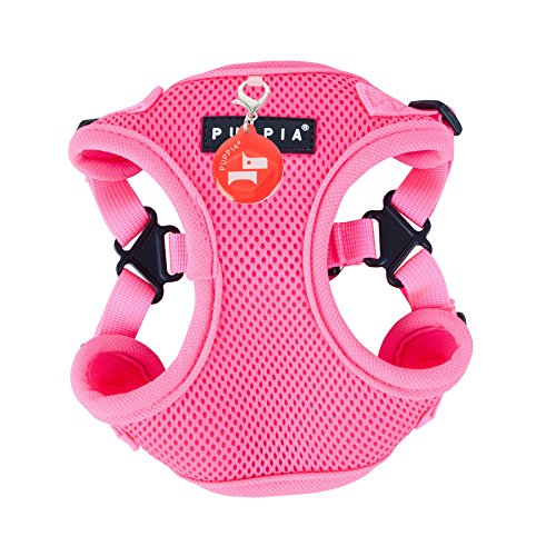 Puppia 4-Punkt Neon-Hundegeschirr für kleine und mittelgroße Hunde - leicht und super weich in vielen Farben - Antizuggeschirr für Hunde, Pink, L Puppia 4-Punkt Neon-Hundegeschirr für kleine und mittelgroße Hunde - leicht und super weich in vielen Farben - Antizuggeschirr für Hunde, Pink, L von Puppia