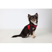 Puppia Geschirr Super Soft B (Step) rot XL von Puppia