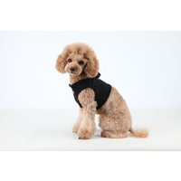 Puppia Geschirr Super Soft B (Step) schwarz L von Puppia