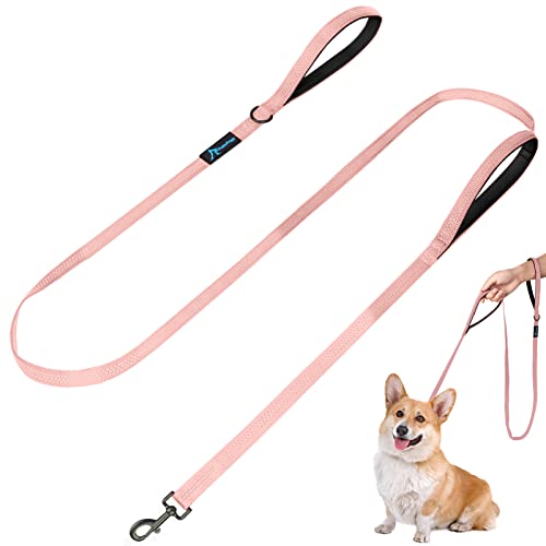 PuppyDoggy Hundeleine für Kleine Bis Mittelgroße Hunde 1,8 m / 6 ft mit 3 Reflektierenden Nähten 2 Gepolsterten Verkehr Griffen Haustierleine für Das Lauf Gehtraining (1.8m x 1.5cm – Rosa 1 Pack) von PuppyDoggy
