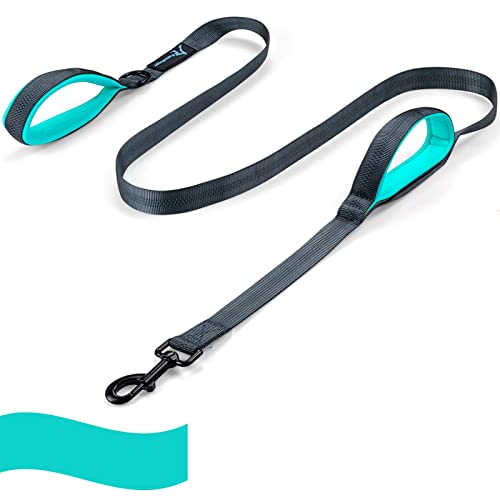 PuppyDoggy Hundeleine für große und mittelgroße Hunde 2 gepolsterten Griffen mit reflektierende Fäden Strapazierfähiges Hundeseil Haustierleine 1,8 m (Grün 1 Pack) von PuppyDoggy