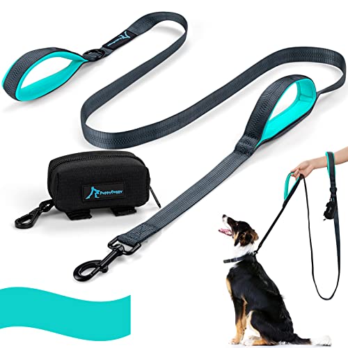 PuppyDoggy Hundeleine für große und mittelgroße Hunde 2 gepolsterten Griffen mit reflektierende Fäden und Kotbeutelspender 1,8 m (Grün) von PuppyDoggy