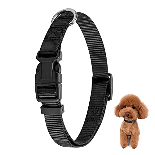 PuppyDoggy Verstellbares Hundehalsband Nylon Halsbänder, Martingalhalsband für Hunde mit Schnellverschluss, Klassisches Hundehalsband für Kleine, Mittelgroße, Große Hunde (Klein 1 Packung, Schwarz) PuppyDoggy Verstellbares Hundehalsband Nylon Halsbänder, Martingalhalsband für Hunde mit Schnellverschluss, Klassisches Hundehalsband für Kleine, Mittelgroße, Große Hunde (Klein 1 Packung, Schwarz) von PuppyDoggy