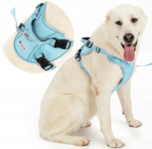 Hundegeschirr mit Leine Set | Verstellbares atmungsaktives reflektierend, gepolstert und atmungsaktiv Brustgeschirr mit Griff und Frontbügel für tägliches Training (L, Blau) von PuppyJoy