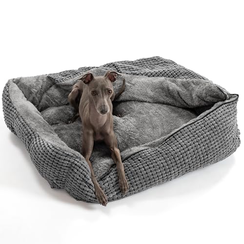 PuppyJoy Hundebett für Mittelgroße Hunde, Hundebett mit Decke Flauschiges Hundekorb Rechteckiges Haustierbett rutschfest Waschbar Hundebetten (L (76x61CM)) von PuppyJoy