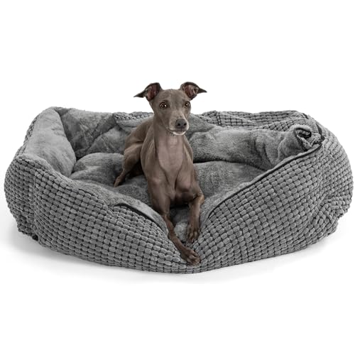 PuppyJoy Hundebett für Mittelgroße Hunde, Hundebett mit Decke Flauschiges Hundekorb Rechteckiges Haustierbett rutschfest Waschbar Hundebetten (M (64x53CM)) von PuppyJoy