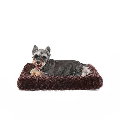 PuppyPalace Deluxe-Hundebett, Hundekissen für kleine Hunde und Katzen, Hundebett für Hundekäfige, flauschiges Hundekissen, Plüsch-Hundehütte, waschbare Hundebox (Braun, XS, 53,3 x 33 cm) von PuppyPalace