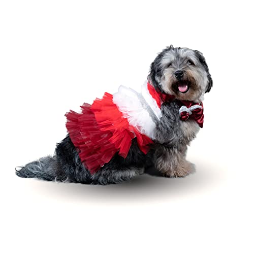 Puptail Hundekleid mit schönem Hundehalstuch, Hundetücher für mittelgroße Hunde und große Hunde wie Shish Tzu, Labrador, Golden Retriever, Mops und Katzentücher, XL, Rot von Puptail