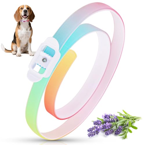 Zeckenhalsband für Hunde 69cm, Wasserdicht & Verstellbar Zeckenschutz Hund Verhindert Leishmaniose-Übertragung, 8 Monate Schutz Bunt Zeckenhalsband für Hunde 69cm, Wasserdicht & Verstellbar Zeckenschutz Hund Verhindert Leishmaniose-Übertragung, 8 Monate Schutz Bunt von Puqoeuoa