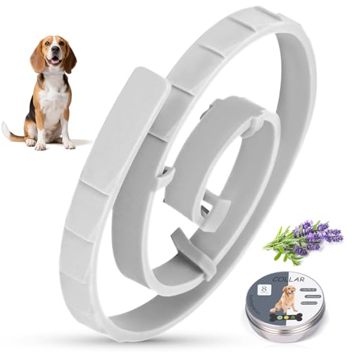 Zeckenhalsband für Hunde 69cm, Wasserdicht & Verstellbar Zeckenschutz Hund Verhindert Leishmaniose-Übertragung, 8 Monate Schutz Grau Zeckenhalsband für Hunde 69cm, Wasserdicht & Verstellbar Zeckenschutz Hund Verhindert Leishmaniose-Übertragung, 8 Monate Schutz Grau von Puqoeuoa