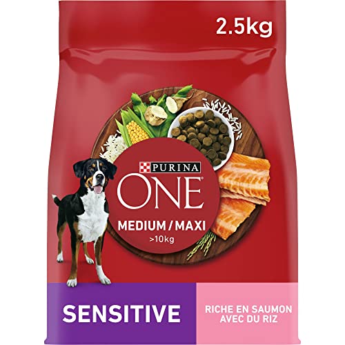 One Trockenfutter Medium/Maxi > 10 kg, feines Lachs, für Hunde, 2,5 kg von Purina ONE