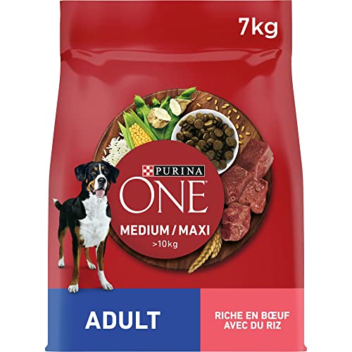 One Trockenfutter Medium/Maxi > 10 kg Erwachsene Reich an Rind für Hunde 7 kg von Purina ONE