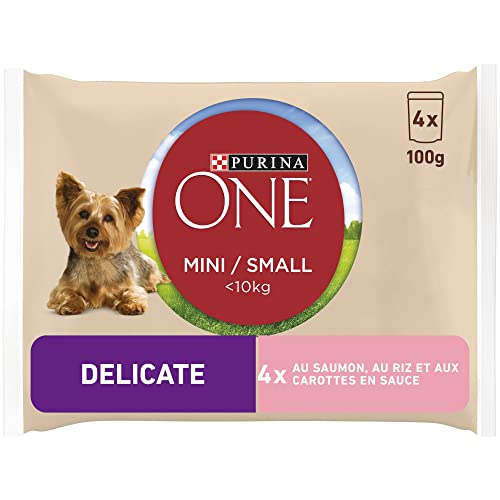 One Trockenfutter Mini < 10 kg Zartlachs für Hunde, 400 g – 10 Stück von One Chien