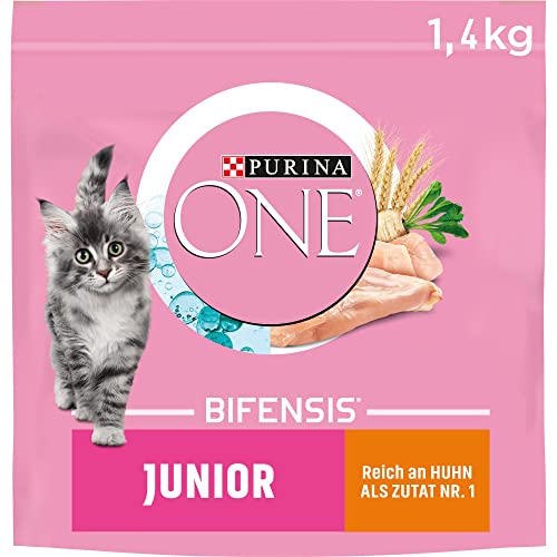 PURINA ONE BIFENSIS JUNIOR 1–12 Katzenfutter Kitten trocken, reich an Huhn, 6er Pack (6 x 1,4kg) von Purina ONE