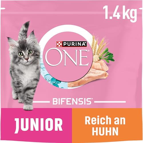 PURINA ONE BIFENSIS JUNIOR 1–12 Katzenfutter Kitten trocken, reich an Huhn, 6er Pack (6 x 1,4kg) von Purina ONE