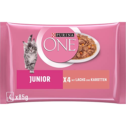 PURINA ONE Junior Kittenfutter nass, zarte Stückchen in Sauce mit Lachs & Karotten, 12er Pack (12 x 4 à 85g) von PURINA ONE
