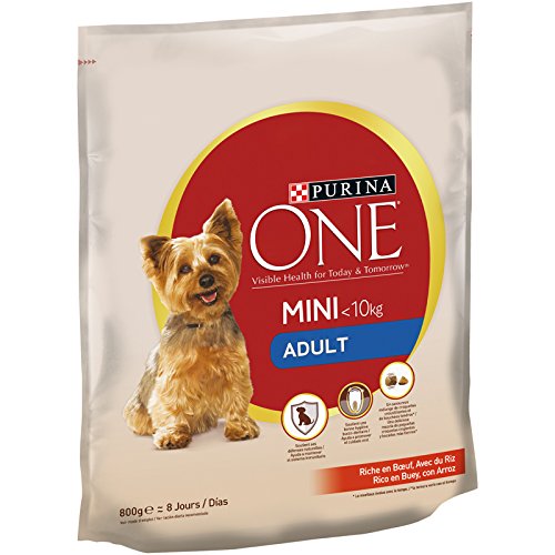 PURINA ONE Mini Hundefutter für ausgewachsene Ochse und Reis 8 x 800 g von Purina ONE