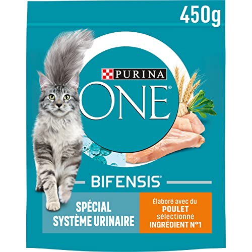 PURINA ONE Bifensis Harnsystem Trockenfutter mit Huhn und Weizen für ausgewachsene Katzen, 450 g, 10 Stück von Purina ONE