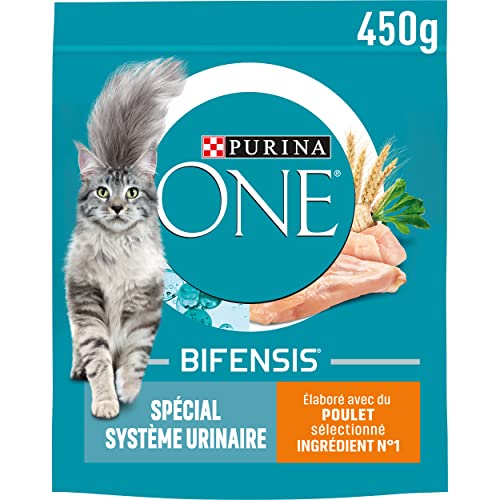 PURINA ONE Bifensis Harnsystem Trockenfutter mit Huhn und Weizen für ausgewachsene Katzen, 450 g, 10 Stück von PURINA ONE