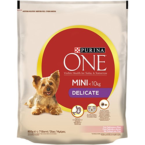 Purina ONE Mini-Kroketten für den Hund mit Lachs und Reis, 800 g von Purina ONE