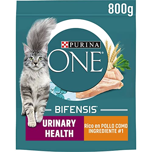 Purina One Bifensis Urinary Care Kroketten Katzen Huhn und Weizen, 8 Packungen mit 800 g von Purina ONE