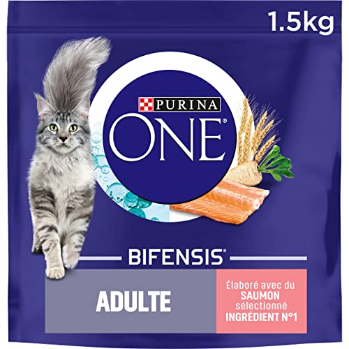 Purina One Kroketten für ausgewachsene Katzen Größe & Geschmack wählbar 1,5 kg – 6er-Packung (9 kg) von Purina One