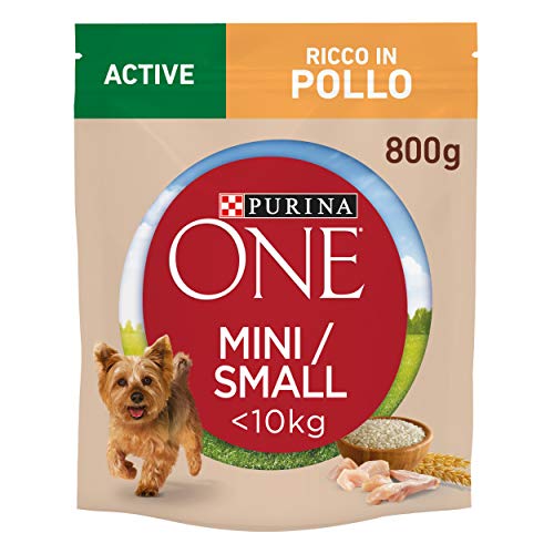 Purina One Mini Active für Hunde unter 10 kg, Kroketten mit Huhn und Reis, 8 Packungen à 800 g von Purina ONE