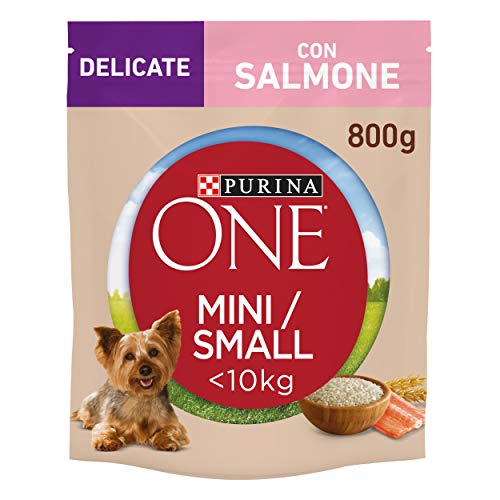 Purina One Mini weniger als 10 kg Delicate Kroketten für kleine Hunde mit Lachs und Reis, 8 Packungen mit 800 g von Purina ONE